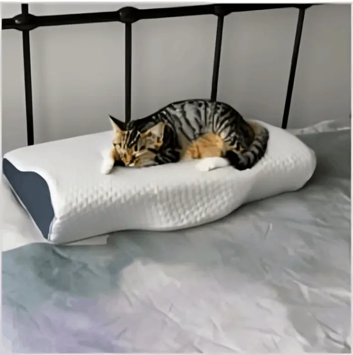 Derila Ergo Pillow customer review William P.
